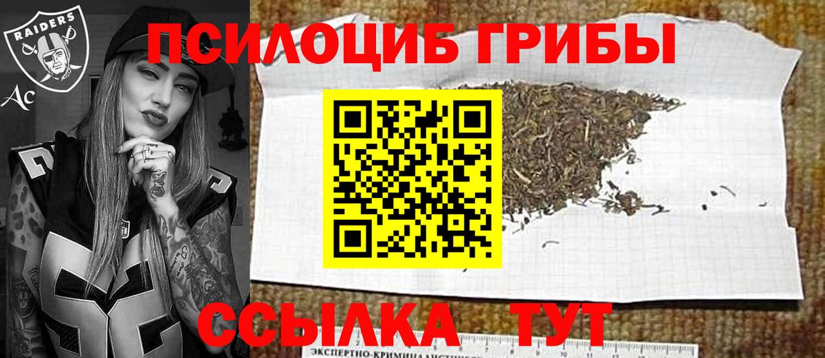 Галлюциногенные грибы мицелий Апрелевка