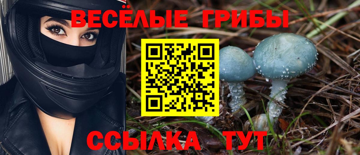 хочу наркоту  Апрелевка  Псилоцибиновые грибы Magic Shrooms 