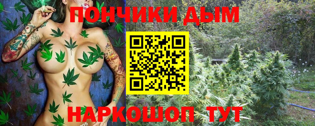 Бошки марихуана семена  Вход с VPN  Канабис ГИДРОПОН  Апрелевка 